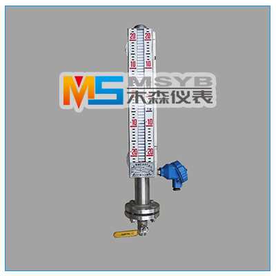 甲醇液位計(jì)/酒精液位計(jì)
